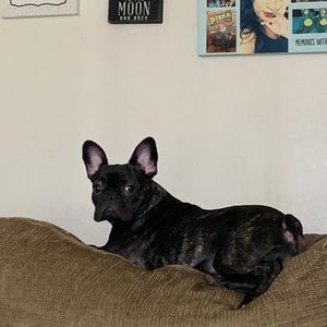 Meet your Posher, Jacob